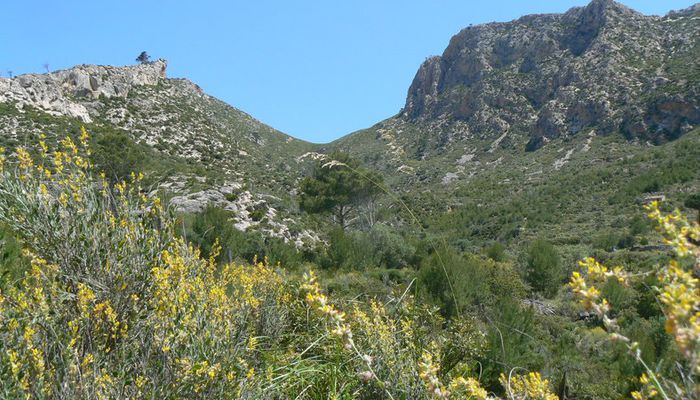 Monastic Wandering from Sant Elm