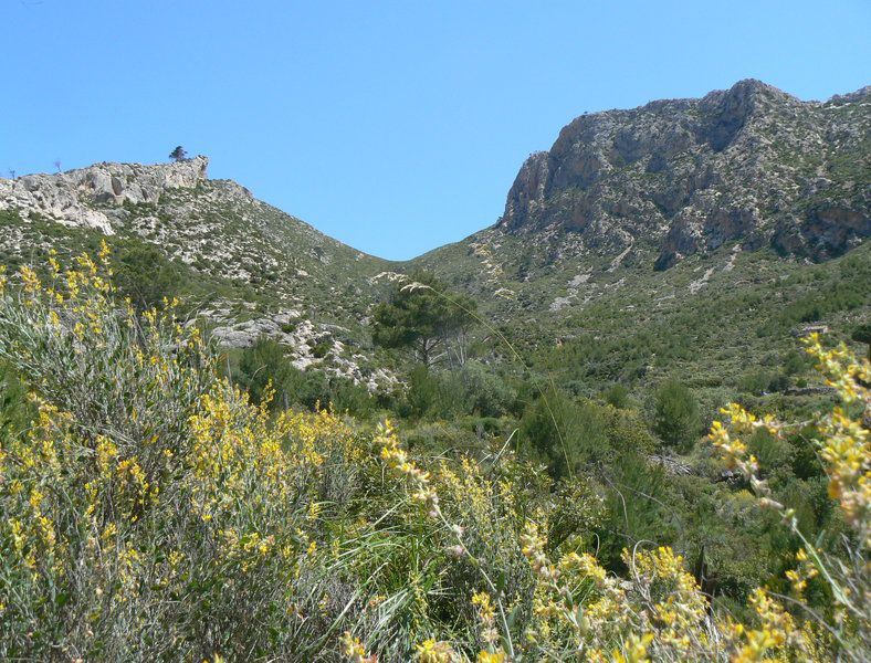 Monastic wandering from Sant Elm 1.jpg