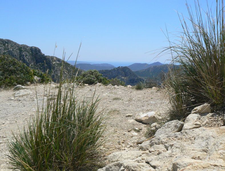 Monastic wandering from Sant Elm 3.jpg