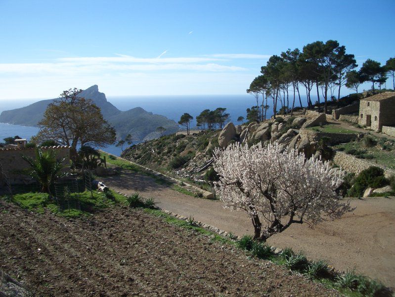 Monastic wandering from Sant Elm 9.jpg