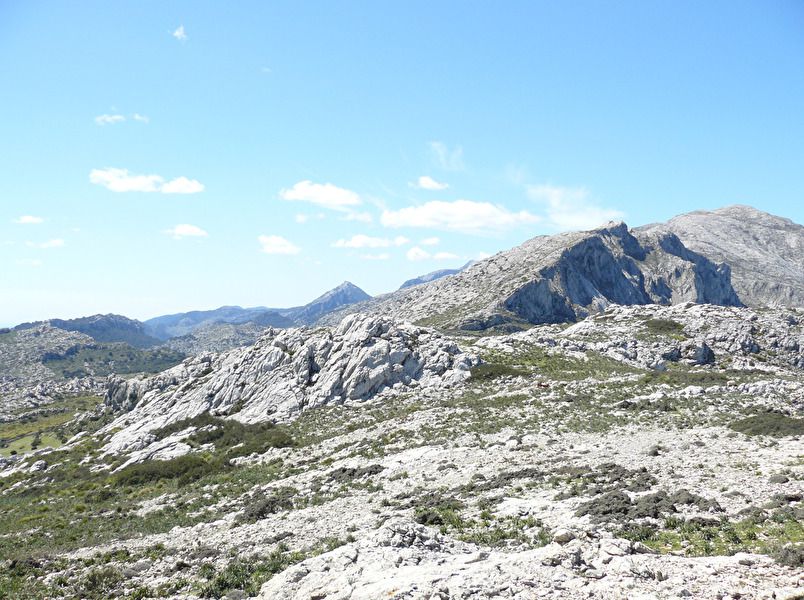 Pollensa 10.jpg