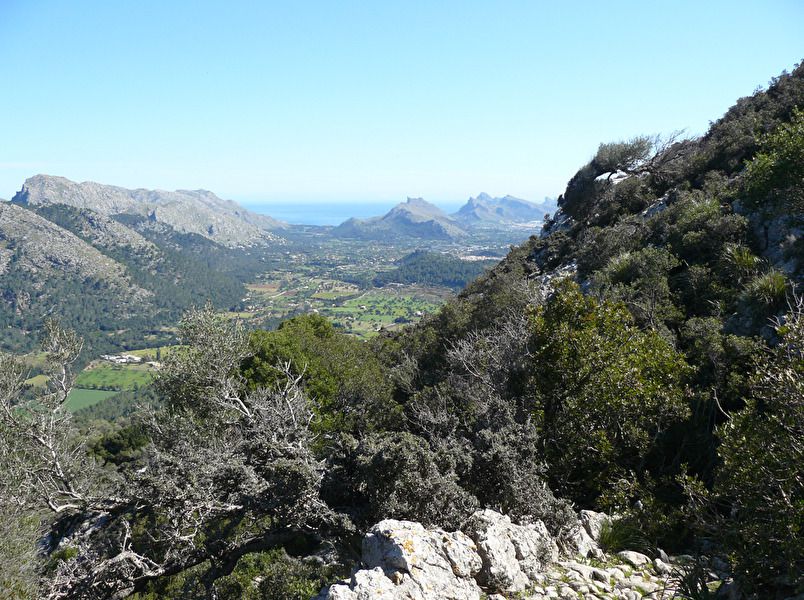 Pollensa 2.jpg