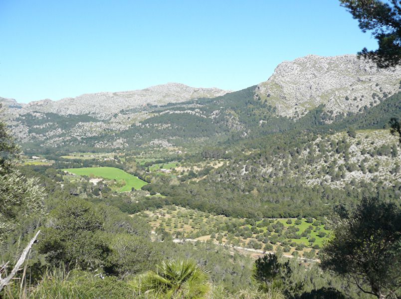 Pollensa 3.jpg
