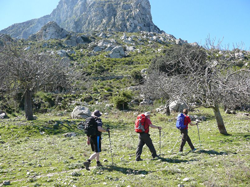 Pollensa 4.jpg