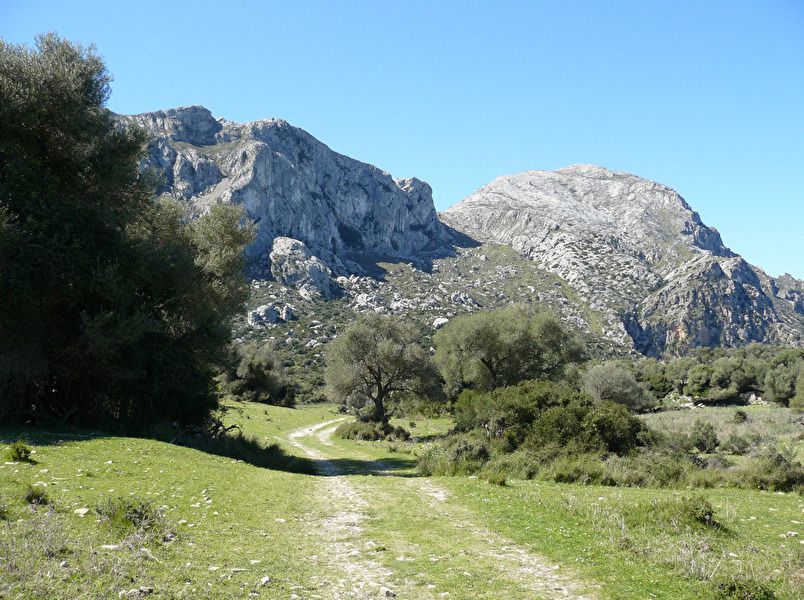 Pollensa 6.jpg
