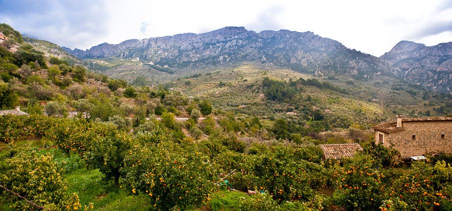 Sóller Excursion - Art & Villages 1.jpg