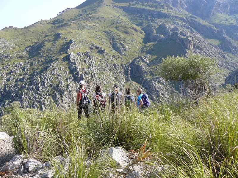 Torrent de