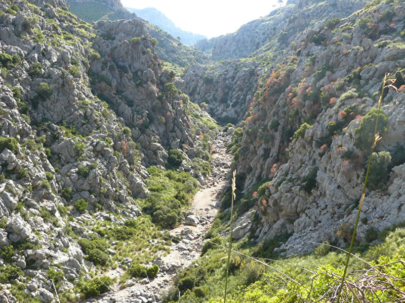 Torrent de Pareis
