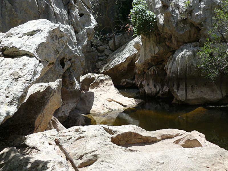 Torrent de Pareis