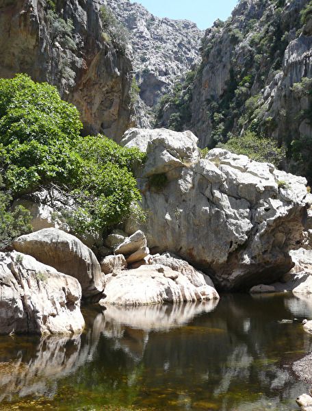 Torrent de Pareis