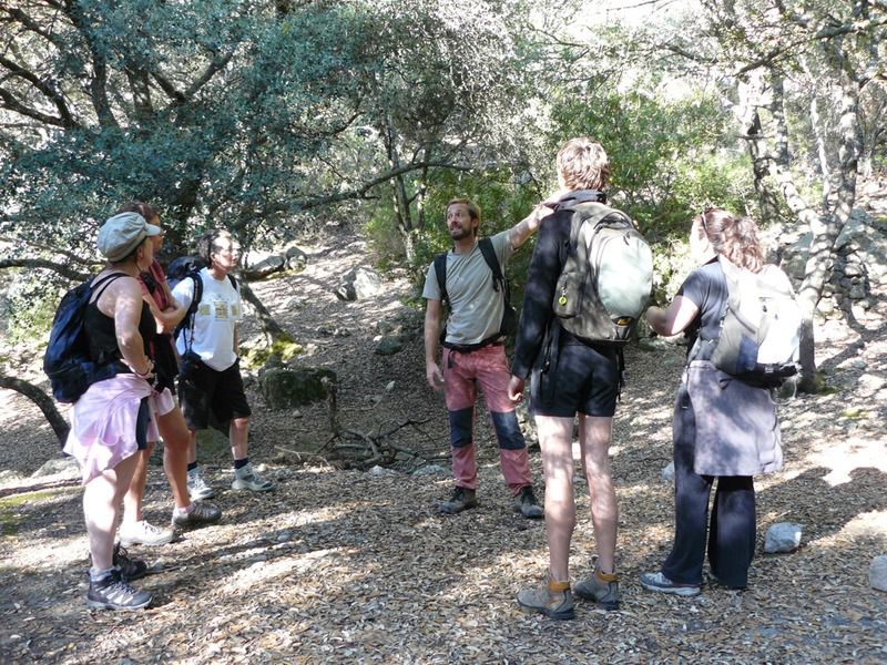 Valldemossa to Deià 2.jpg