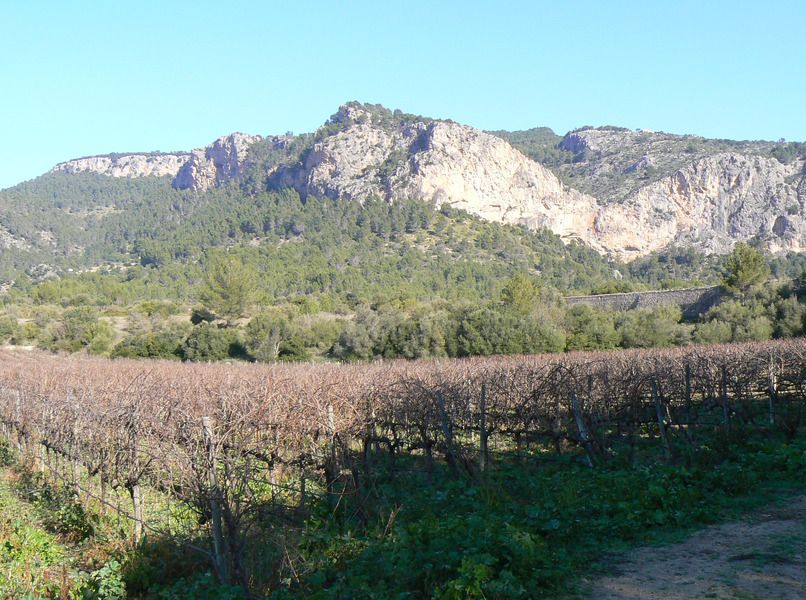 Walk and wine Puigpunyent (2) 2.jpg