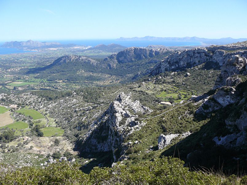 llevant