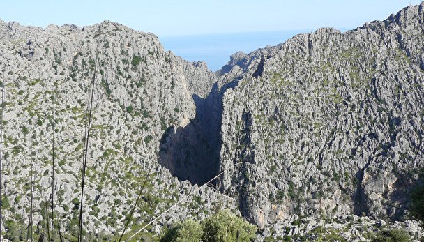 mountains
