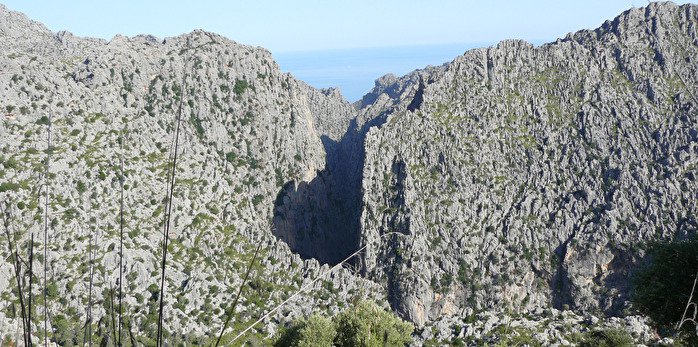 mountains