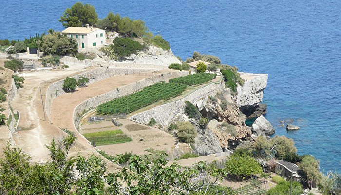 views-from-our-tasting