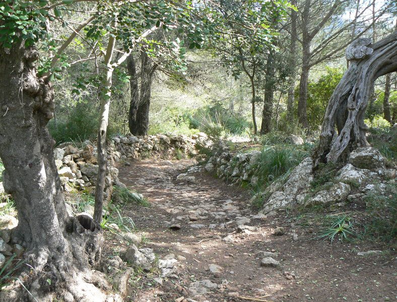 The old postman's route 2.jpg