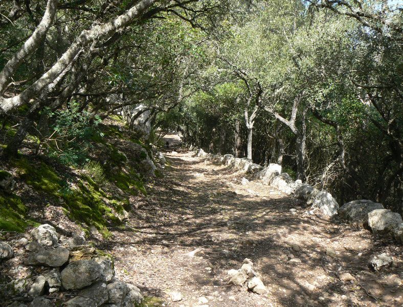 The old postman's route 3.jpg