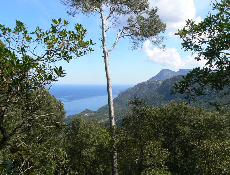 The old postman's route 5.jpg