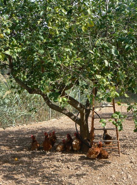 The old postman's route 8.jpg