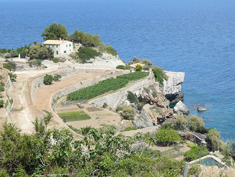 Walk and wine Banyalbufar 2.jpg