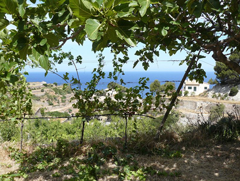 Walk and wine Banyalbufar 3.jpg