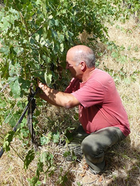 Walk and wine Banyalbufar 5.jpg