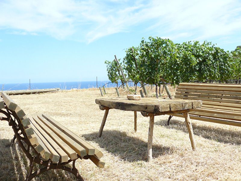 Walk and wine Banyalbufar 6.jpg